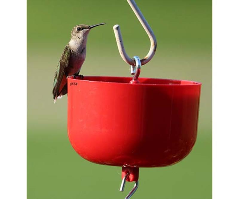 Red Nectar Protector Jr. -,Songbird Essentials,SE625