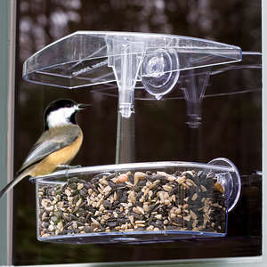 Observer Window Feeder,Droll Yankees Inc,DYOWF