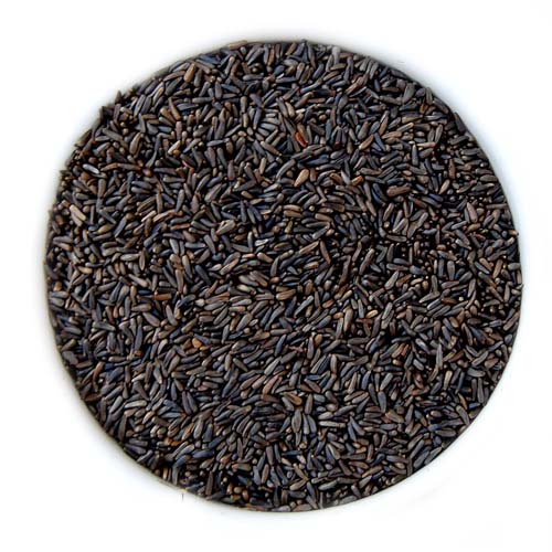 10# Nyjer® Seed