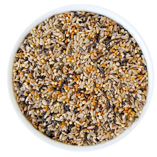10# Finches' Choice