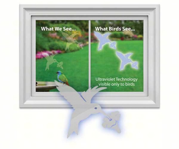 Hummingbird Window Alert,Window Alert,WINDA5
