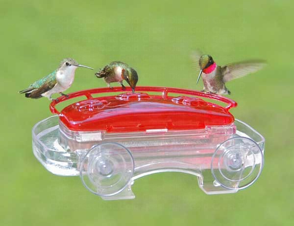 Hummingbird Window Feeder (Jewel Box),Aspects,ASPECTS407