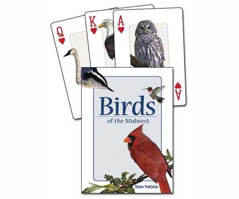 Birds Of The Midwest Playing Cards,AdventureKeen,9781591932857