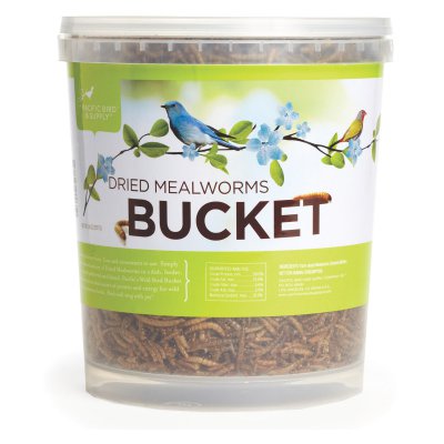 Bucket: Dried Mealworms,Pacific Bird and Supply,PB0035