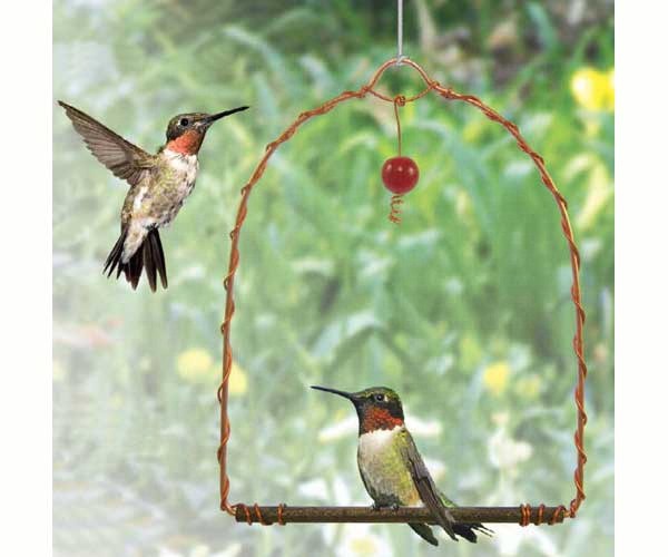 Copper Hummingbird Swing,Songbird Essentials,SEHHHUMS