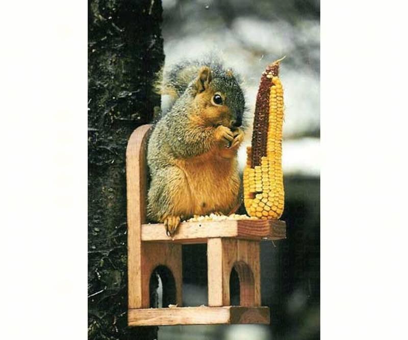 Squirre Feeder Chair,Songbird Essentials,SE547