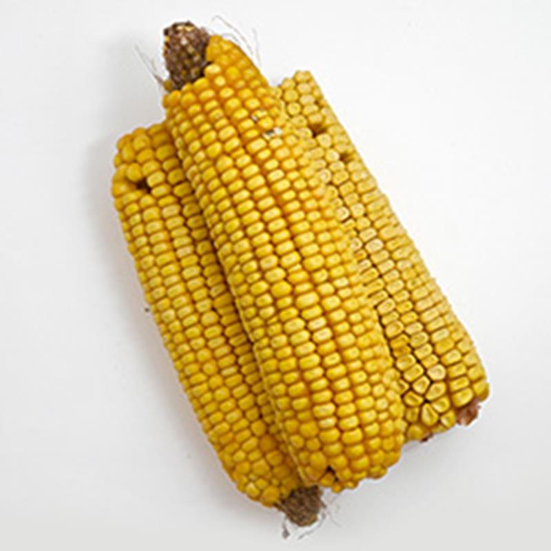 5# Cob Corn