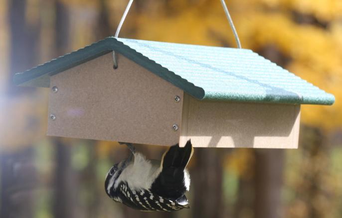 Recycled Double Upside Down Suet Feeder,SNUDD