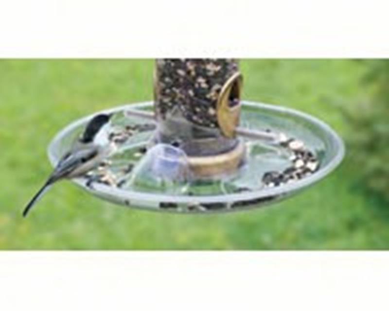 Quick Clean Seed Tray,Aspects,ASPECTS449