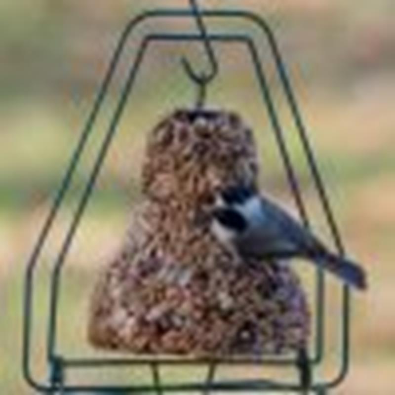 Seed Bell Hanger-Mr. Bird,805
