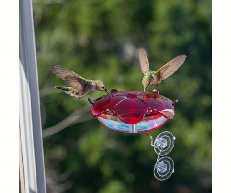 Ruby Sipper Window Feeder,DYRS3WC