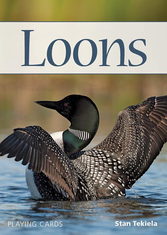 Loons Playing Cards,AdventureKeen,9781591937821
